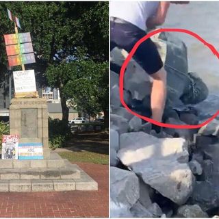 Watch: New Orleans protesters take down statue of John McDonogh, toss it in Mississippi River