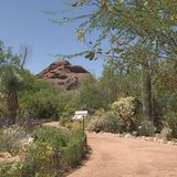 Monsoon rain brings special smell to Arizona deserts