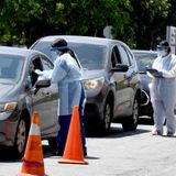 What Zebra Mussels Can Tell Us About Errors In Coronavirus Tests