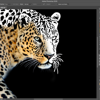 Adobe updates its Creative Cloud apps