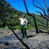 Illegal campfires in San Bernardino, Angeles forests fuel wildfire worries