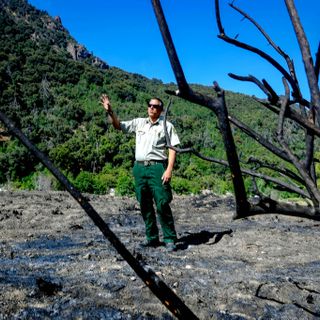 Illegal campfires in San Bernardino, Angeles forests fuel wildfire worries