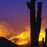 Arizona's Bush Fire in Tonto National Forest now largest active fire burning in U.S.