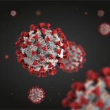 Super-potent human antibodies protect against COVID-19 in animal tests: Scientists isolate powerful coronavirus-neutralizing antibodies from COVID-19 patients and successfully test in animals