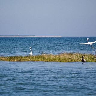 After a less rainy spring, the Chesapeake Bay may see smaller dead zone than normal - Virginia Mercury