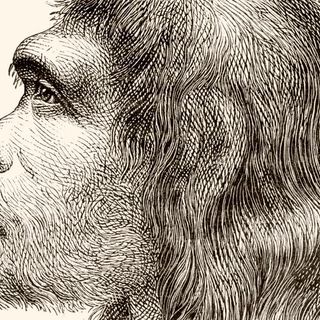 Scientists have created mini brains containing Neanderthal DNA