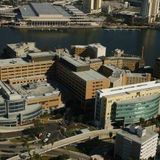 55 Tampa General Hospital staffers infected with COVID-19 since March