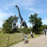 Walk and camp where Texas dinosaurs once roamed at Dinosaur Valley State Park