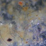 There might not be as many microplastic fibres in oceans as we feared