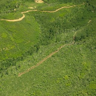 A federal court ruled a coal company couldn't build a road on public land near Paonia. The company did it anyway.