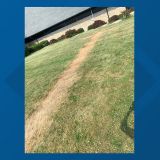 Concerns raised over grass burned in shape of a cross at Indiana Black Expo headquarters