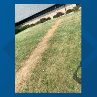 Concerns raised over grass burned in shape of a cross at Indiana Black Expo headquarters