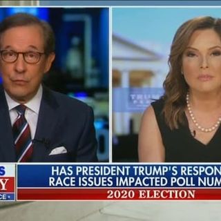 Chris Wallace Shreds Trump Campaign Adviser: ‘You Guys Look Silly’ for Denying Poor Rally Attendance