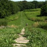 These 10 Trails In Ohio Will Lead You To Extraordinary Ancient Ruins