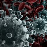 How experts plan to treat the new coronavirus
