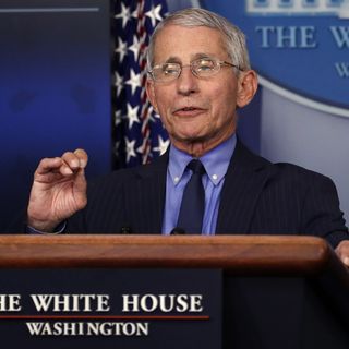 Fauci: Next few weeks critical to tamping down virus spikes