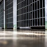 Lawsuit: Chicago Detainees Being Denied Access to Phone Calls, Attorneys