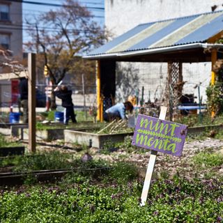 PHDC streamlines public land sale system for side yards, community gardens