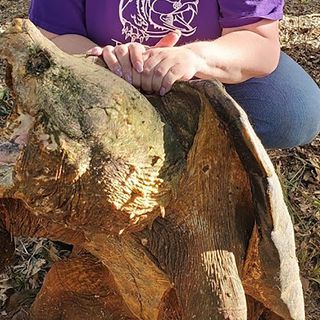 'His head is huge': Massive 124-pound alligator snapping turtle rescued in Mississippi