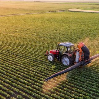 How a Bill Gates-backed startup plans to save farming with A.I.