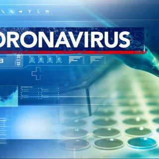 NC deaths from coronavirus reach 1,400; cases to date top 67,000 :: WRAL.com