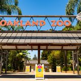 Oakland Zoo faces permanent closure if it doesn't reopen this month