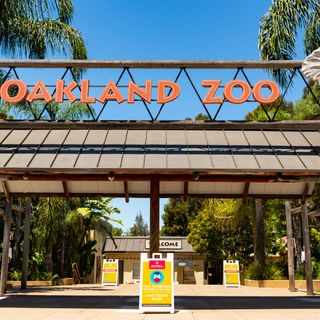 Oakland Zoo faces permanent closure if it doesn't reopen this month