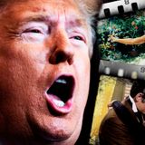 Donald Trump Has the Absolute Worst Taste in Movies