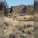 Volunteers scoop 45 pounds of dog poop from one Albuquerque trail