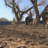 More New Mexico properties sign up for Doggie DNA program