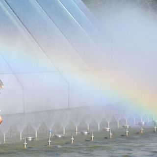 Rainbow Ice Cream In Spotlight As Putin Calls For Monitoring Of 'Gay Propaganda'