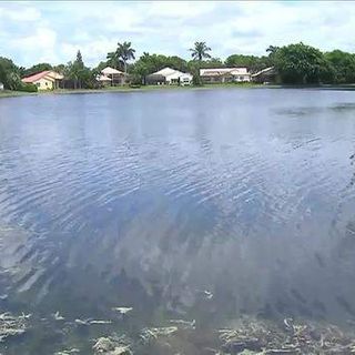 Patient infected with rare brain-eating amoeba in Florida, health officials say