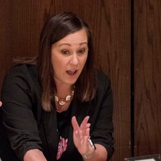 Senate hopeful MJ Hegar banking on suburban women to carry her to victory against Royce West, John Cornyn