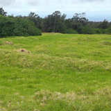 How Landscape Legacies Enhance Hawaii Agriculture