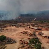 Brazil registers most Amazon fires for the month of June since 2007