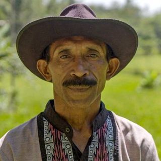 Timor-Leste's stolen children: Taken during a time of war, decades later they are coming home - ABC News