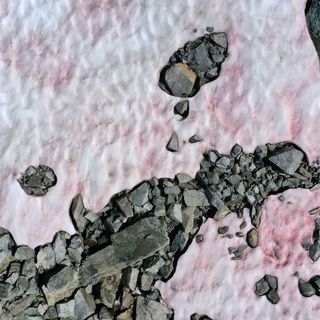 Odd pink snow in the Alps is pretty, but it might be a red flag