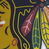 Chicago Blackhawks to keep name, commit to ‘expand awareness’ of Black Hawk’s legacy