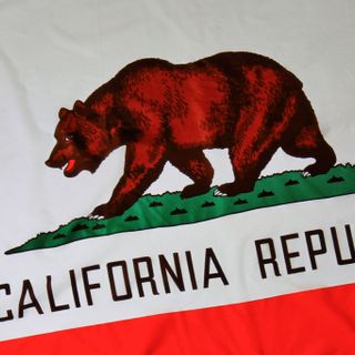 The bear on the California state flag lived in Golden Gate Park