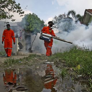 Outbreak of dengue fever in Southeast Asia is 'exploding' amid the coronavirus fight