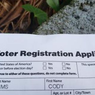 Deceased cat gets voter registration application in the mail