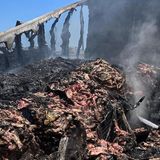 I-8 Big-Rig Fire Barbecues 41,000 Pounds of Beef