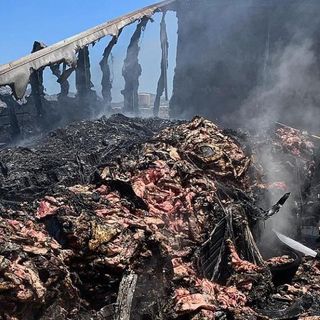 I-8 Big-Rig Fire Barbecues 41,000 Pounds of Beef