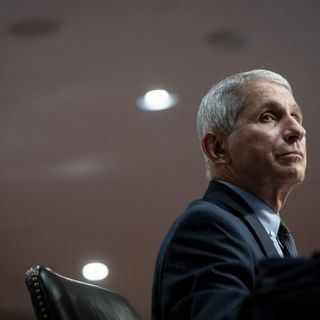 Fauci Is a Deep State Fraud › American Greatness