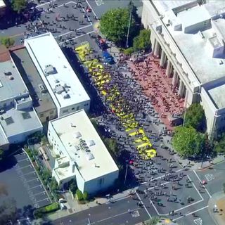 Over 1,000 People Gather for Black Lives Matter Demonstration in Martinez